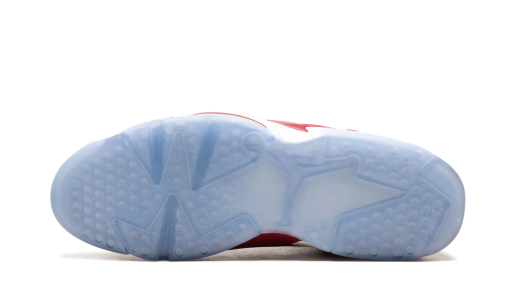 Air Jordan 6 Retro 'Slam Dunk' Reps 